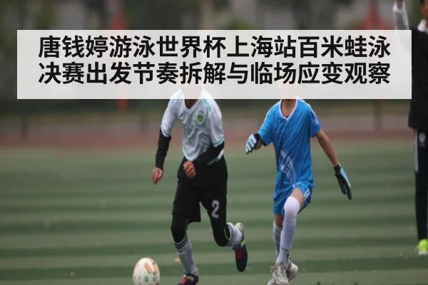 唐钱婷游泳世界杯上海站百米蛙泳决赛出发节奏拆解与临场应变观察